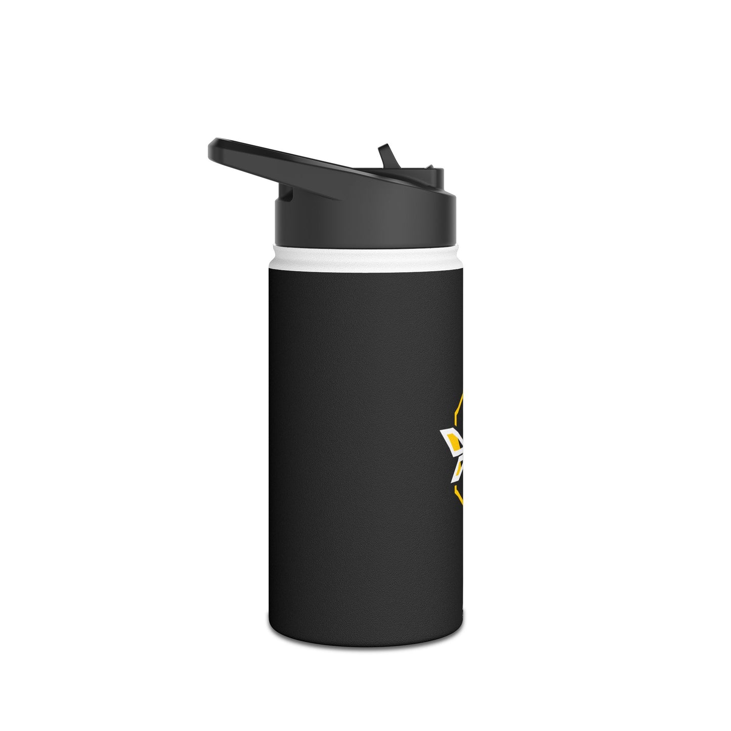 Stainless Steel Water Bottle, Standard Lid