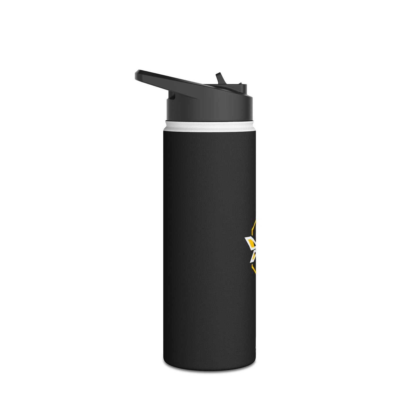 Stainless Steel Water Bottle, Standard Lid
