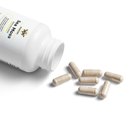 Hive Fuel Sea Moss Supplement (60 Capsules)